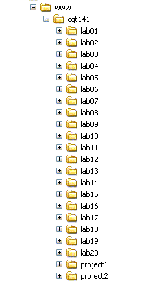 141 Folder Structure