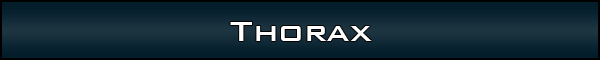Thorax
