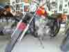 Early Sportster